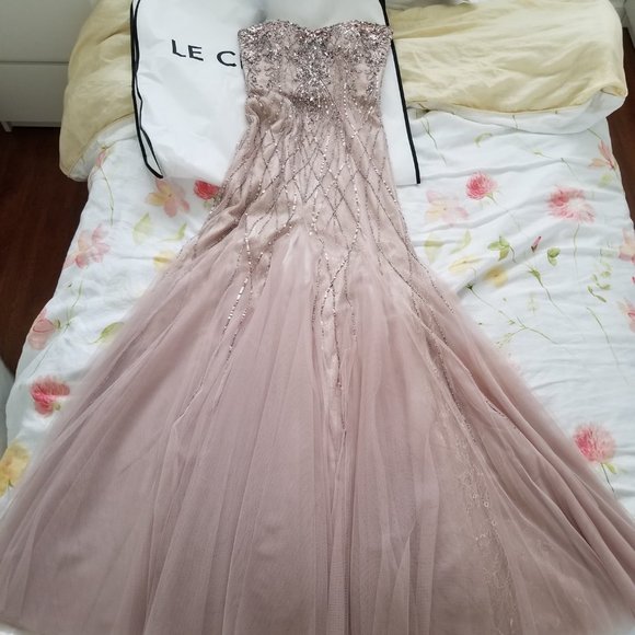 Rose Gold Embellished Tulle Sweetheart Gown - Picture 4 of 5